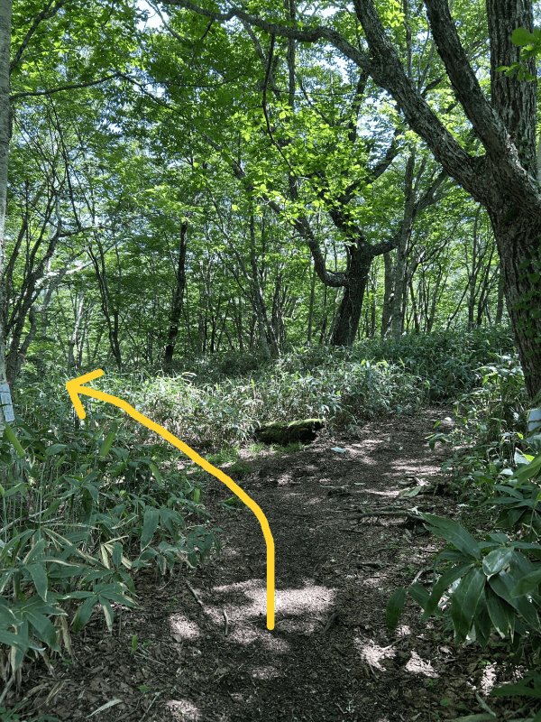 コース案内_三斗小屋宿跡分岐