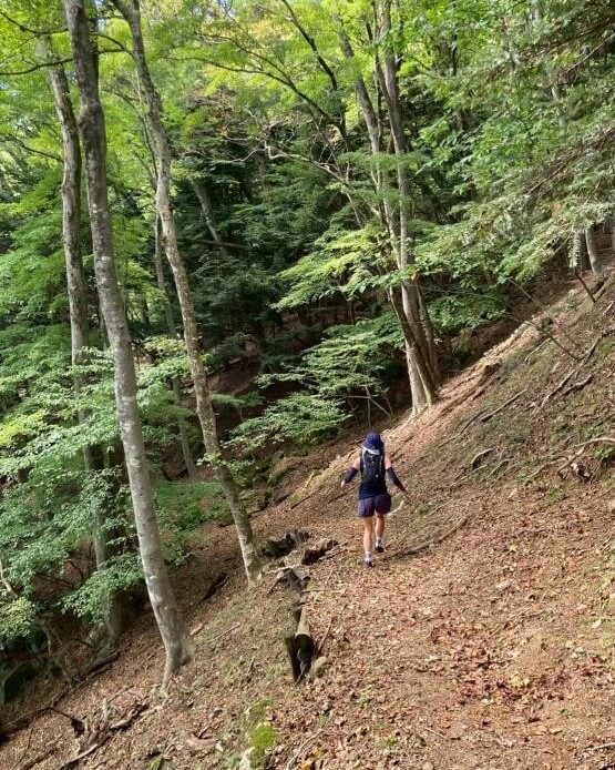 里山トレイル。森林や林道を進む区間で、人の暮らしと自然が共存する塩原の里山を走るコース。